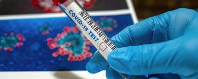 В Свердловской области за сутки выявили 211 заразившихся COVID-19