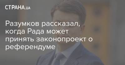 Разумков рассказал, когда Рада может принять законопроект о референдуме