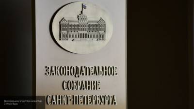 Петербургские депутаты не смогли внятно ответить ФАН о поправках к бюджету