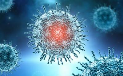 4 важных вопроса о коронавирусе. Отвечают кипрские ученые