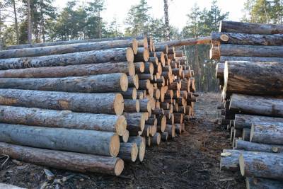 Челябинский лес начали продавать на международной товарно-сырьевой бирже