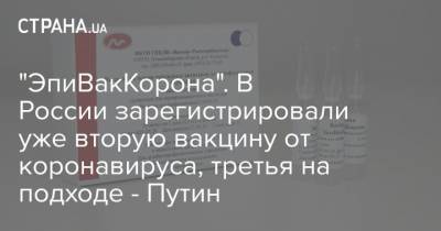 "ЭпиВакКорона". В России зарегистрировали уже вторую вакцину от коронавируса, третья на подходе - Путин