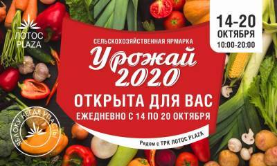 Сельскохозяйственная ярмарка «Урожай 2020» рядом с ТРК «ЛОТОС PLAZA» 14 октября вновь открылась для жителей Петрозаводска!