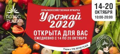 Сельскохозяйственная ярмарка "Урожай-2020" рядом с ТРК "Лотос Plaza" 14 октября вновь открылась в Петрозаводске