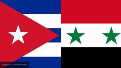 Куба и Сирия обсудили сотрудничество в борьбе с COVID-19