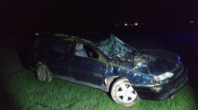 В Белыничском районе водитель легковушки съехал в кювет и погиб