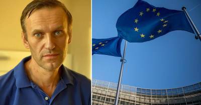 DPA узнало, кого могут коснуться санкции ЕС по ситуации с Навальным