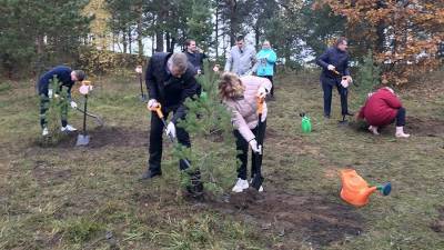 В Петербурге в рамках акции «Сохраним лес» у «Сестрорецкого рубежа» высадили сосны