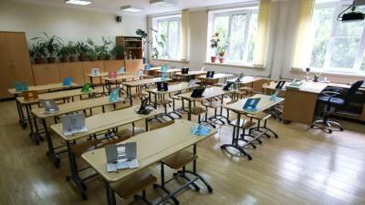 В Госдуме оценили необходимость дистанционного обучения в школах
