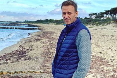 Появилась версия спецслужб Германии о причинах интоксикации Навального