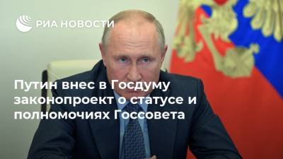 Путин внес в Госдуму законопроект о статусе и полномочиях Госсовета