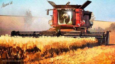 Российский урожай зерна в этом сезоне может превысить 130 млн тонн