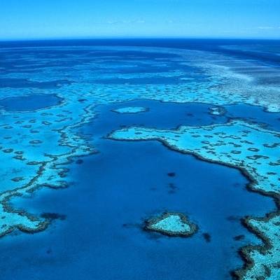 Ученые: численность кораллов Большого Барьерного рифа резко сократилась