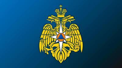 МЧС России внесет изменения в закон «Об аварийно-спасательных службах и статусе спасателей»