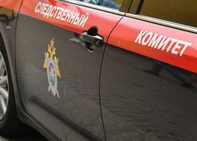 Дело возбуждено в связи с травмированием 13-летнего подростка на станции Мытищи
