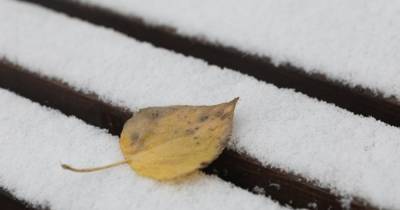 Москвичей предупредили о возможном первом снеге в выходные
