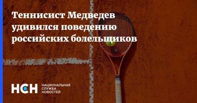 Теннисист Медведев удивился поведению российских болельщиков