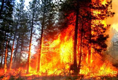 В России за сутки потушили 32 природных пожара