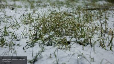 Первый снег может порадовать москвичей уже в конце недели