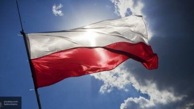 Польша стремится установить энергетический контроль над Украиной