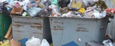 89% мусорных площадок в Красноярском крае оказались в ужасном состоянии