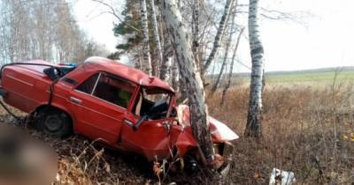Автомобиль врезался в дерево в Красноярском крае, трое погибли