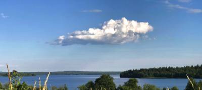 Чиновники Минприроды Карелии попробуют поймать рыбку в мутных водах Ведлозера