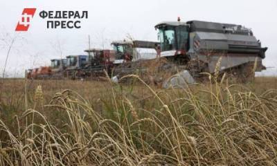 В Красноярском крае зафиксирована рекордная урожайность