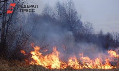 В Челябинской области тушат лесной пожар на площади 25 гектаров
