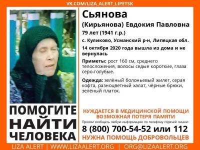 В Липецкой области ищут 79-летнюю женщину