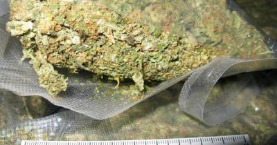 У жителя Гурьевского района нашли больше килограмма марихуаны
