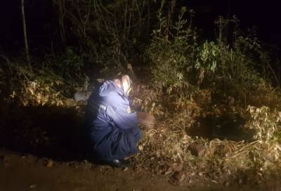 Два баллона с неизвестным веществом обнаружены в Ломоносовском районе