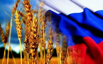 Россия нарастила экспорт агропродукции, сократив разрыв с импортом в 10 раз