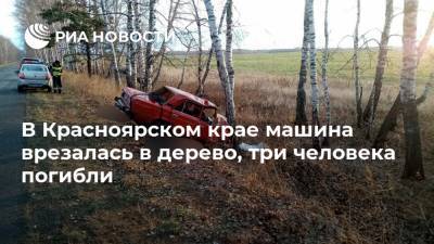 В Красноярском крае машина врезалась в дерево, три человека погибли
