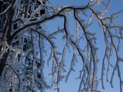Синоптики дали неожиданный прогноз погоды на зиму