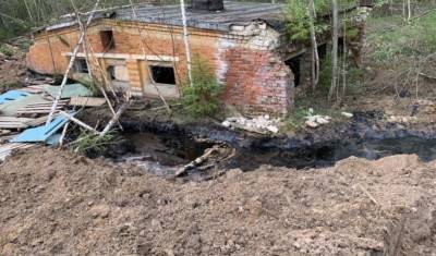 Экологическая катастрофа под Костромой: военные отравили мазутом лес (ФОТО)