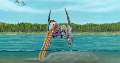 Обнаружен вид птерозавров похожих на гигантских птиц киви