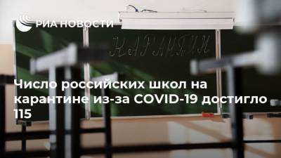 Число российских школ на карантине из-за COVID-19 достигло 115