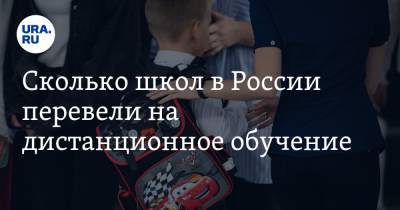 Сколько школ в России перевели на дистанционное обучение. Ответ Минпросвещения