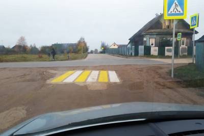 В Тверской области на грунтовой дороге нарисовали «мини-зебру»