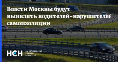 Власти Москвы будут выявлять водителей-нарушителей самоизоляции