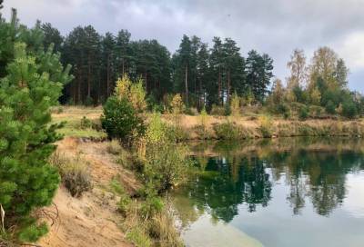 Карьер с прозрачной водой и висячий мост: опытный путешественник показал красоту природы под Кировском