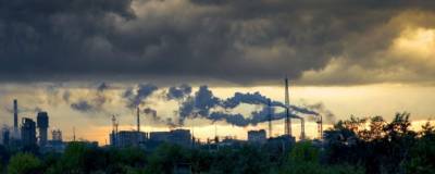 Более 7 тысяч человек поддержали петицию за чистый воздух в Рязани