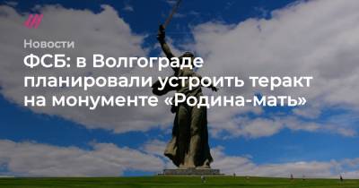 ФСБ: в Волгограде планировали устроить теракт на монументе «Родина-мать»