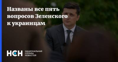 Названы все пять вопросов Зеленского к украинцам