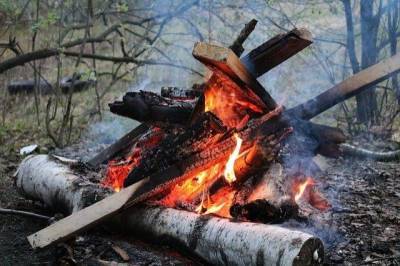 В РФ хотят поднять штрафы за нарушение противопожарной безопасности в лесах