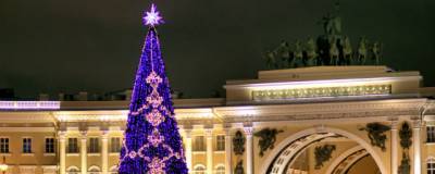 Петербуржцам дали возможность выбрать елку для Дворцовой площади