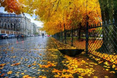 Похолодание и дожди: синоптик рассказала, какой будет погода в Украине 16 октября