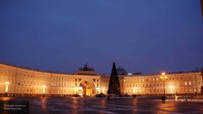 Петербуржцы смогут выбрать главную новогоднюю елку для Дворцовой площади