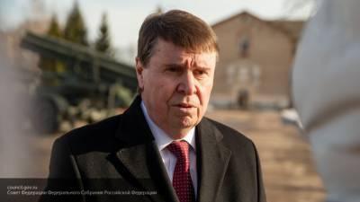 Сенатор Цеков назвал "слишком мягким" наказание за незаконные акции в РФ